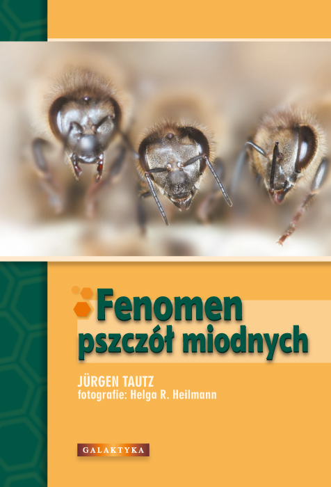 Fenomen Pszczół Miodnych 5383